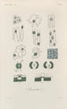 Treatise on General Botany Pl045 - François Hérincq — artwork view