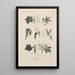 Treatise on General Botany Pl047 - François Hérincq — framed artwork on a wall