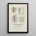 Treatise on General Botany Pl051 - François Hérincq — framed artwork on a wall