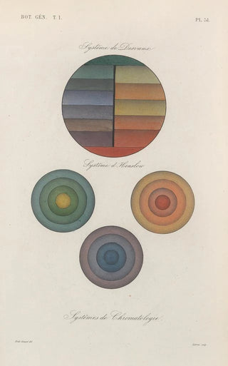 Traité de botanique générale Pl052 - François Hérincq — artwork view