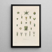 Traité de botanique générale Pl055 - François Hérincq — framed artwork on a wall
