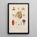 Treatise on General Botany Pl059 - François Hérincq — framed artwork on a wall