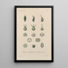 Traité de botanique générale Pl067 - François Hérincq — framed artwork on a wall