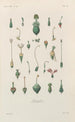 Treatise on General Botany Pl069 - François Hérincq — artwork view