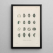 Traité de botanique générale Pl072 - François Hérincq — framed artwork on a wall