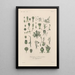 Treatise on General Botany Pl082 - François Hérincq — framed artwork on a wall