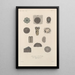 Treatise on General Botany Pl083 - François Hérincq — framed artwork on a wall