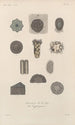 Treatise on General Botany Pl083 - François Hérincq — artwork view