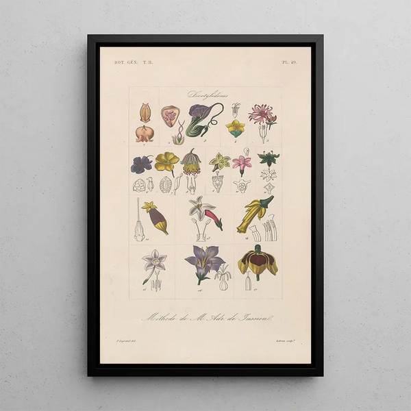 Treatise on General Botany Pl100 - François Hérincq — framed artwork on a wall