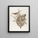 Pas souvent - François Levaillant — framed artwork on a wall