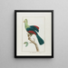 The touraco - François Levaillant — framed artwork on a wall