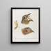 No 1 and 2 Heads of Life-size Lengoulevent - François Levaillant — framed artwork on a wall