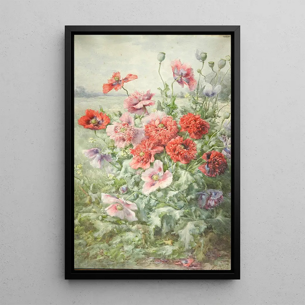 Poppies - François Rivoire — framed artwork on a wall