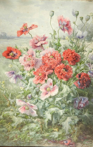 Franois Rivoire - Pavots.webp