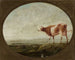 Cow in the meadow - François Ryckhals — artwork view