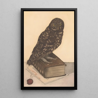 Frans Everbag - Uil zittend op een boek.webp