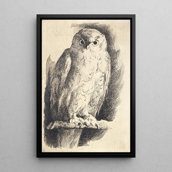 Study of an Owl - Frans Schwartz — framed artwork on a wall