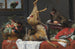 Nature morte avec un cerf mort - Frans Snyders — artwork view