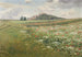 Wild Poppy Fields - František Kaván — artwork view