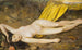 Woman with a Rose - František Šindelář — artwork view