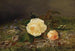 Roses Jaunes - Frants Diderik Böe — artwork view