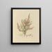 Exotic Plant Boundaries in the Royal Gardens of Kew, Plate 01 - Franz Andreas Bauer — framed artwork on a wall