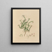 Exotic Plant Boundaries in the Royal Gardens of Kew, Plate 03 - Franz Andreas Bauer — framed artwork on a wall