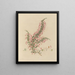 Exotic Plant Boundaries in the Royal Gardens of Kew, Plate 28 - Franz Andreas Bauer — framed artwork on a wall
