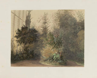 The Winter Garden in the Imperial and Royal Hofburg of Vienna Pl10 - Franz Antoine — artwork view