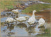 Ducks by the water's edge - Franz Grösse — artwork view