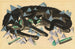 Two Black Cats Lying Down - Franz Marc — artwork view