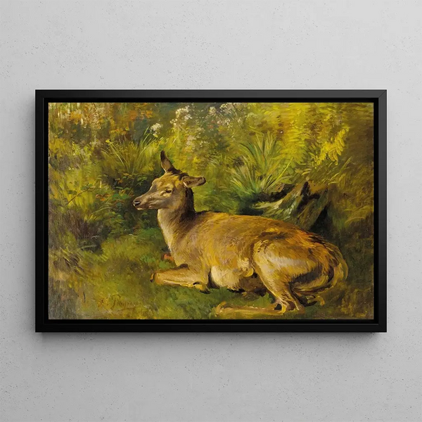 Deer at rest - Franz Xaver von Pausinger — framed artwork on a wall