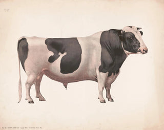 Colantha Johanna Lad - Fred Tolman — artwork view