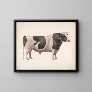 Colantha Johanna Lad - Fred Tolman — framed artwork on a wall