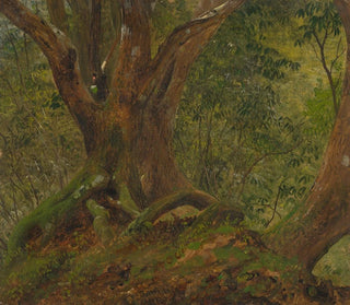 Dans les bois en Jamaïque - Frederic Edwin Church — artwork view