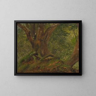 Dans les bois en Jamaïque - Frederic Edwin Church — framed artwork on a wall