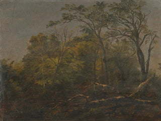Bois du Maine - Frederic Edwin Church — artwork view