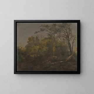 Bois du Maine - Frederic Edwin Church — framed artwork on a wall