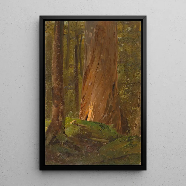 Study in the Maine Woods - Frederic Edwin Church — framed artwork on a wall