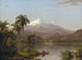Palm Trees Tamaca - Frederic Edwin Church — artwork view