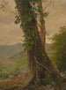 Tree with Vines Jamaica Antilles - Frederic Edwin Church — artwork view