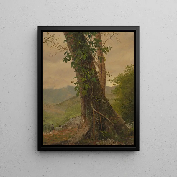 Tree with Vines Jamaica Antilles - Frederic Edwin Church — framed artwork on a wall