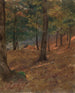 Forest Scene - Frederic Edwin Church — artwork view