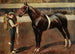 The gelding horse of M. Butler Kirkburn Toreador - Frederic Whiting — artwork view