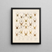 Arachnida Araneidea Pl 06 - Frederick DuCane Godman — framed artwork on a wall