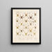 Arachnida Araneidea Pl 07 - Frederick DuCane Godman — framed artwork on a wall