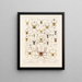 Arachnida Araneidea Pl 08 - Frederick DuCane Godman — framed artwork on a wall