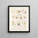 Arachnida Araneidea Pl 35 - Frederick DuCane Godman — framed artwork on a wall
