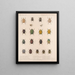 Insectes Coléoptères Pl 021 - Frederick Du Cane Godman — framed artwork on a wall