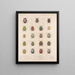 Insectes Coléoptères Pl 022 - Frederick Du Cane Godman — framed artwork on a wall